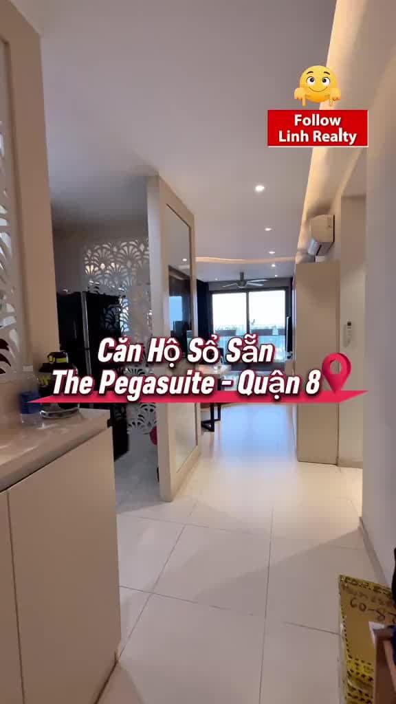 The Pegasuite 2