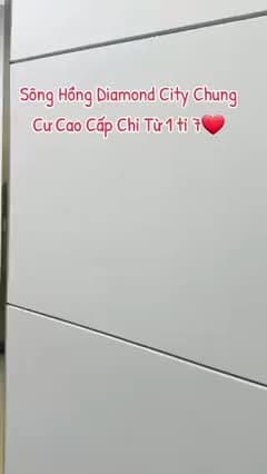 Căn hộ Song Hong Diamond City 2PN 56m2