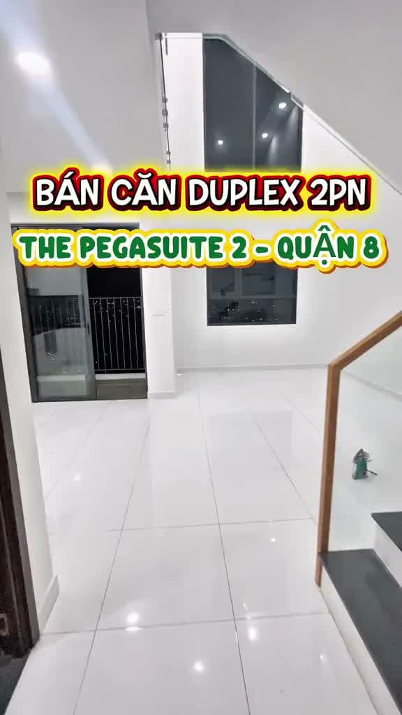 The Pegasuite 2