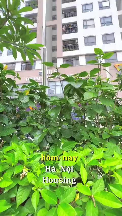Chung cư Smile Building