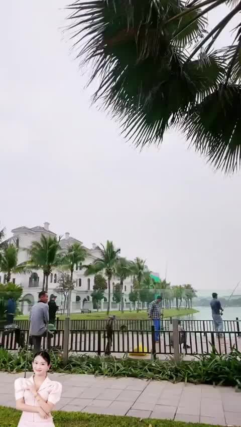 The Senique Hanoi - Ocean Park