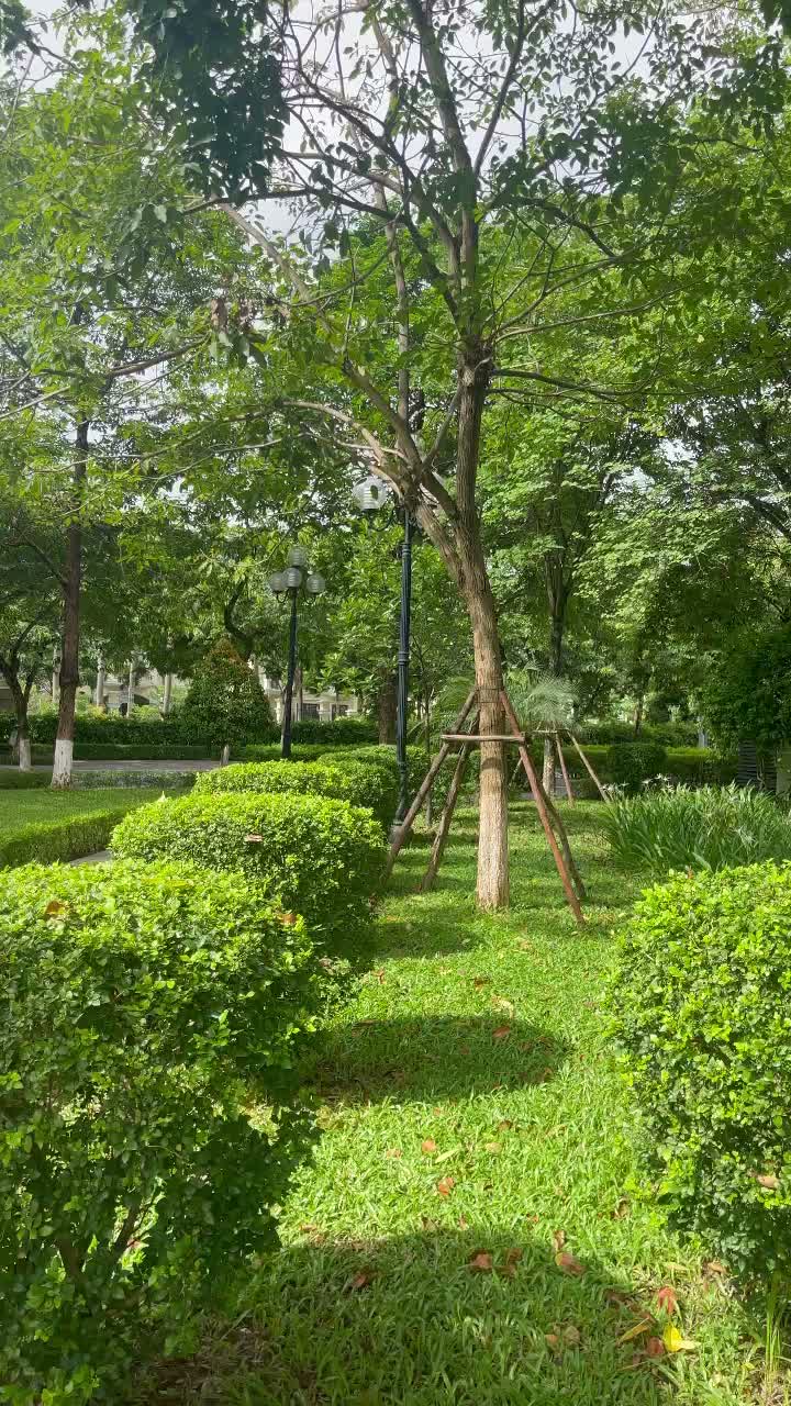 🔥 CHÍNH THỨC NHẬN BOOKING MOONLIGHT 2 – AN LẠC GREEN SYMPHONY 🔥 - ảnh 2