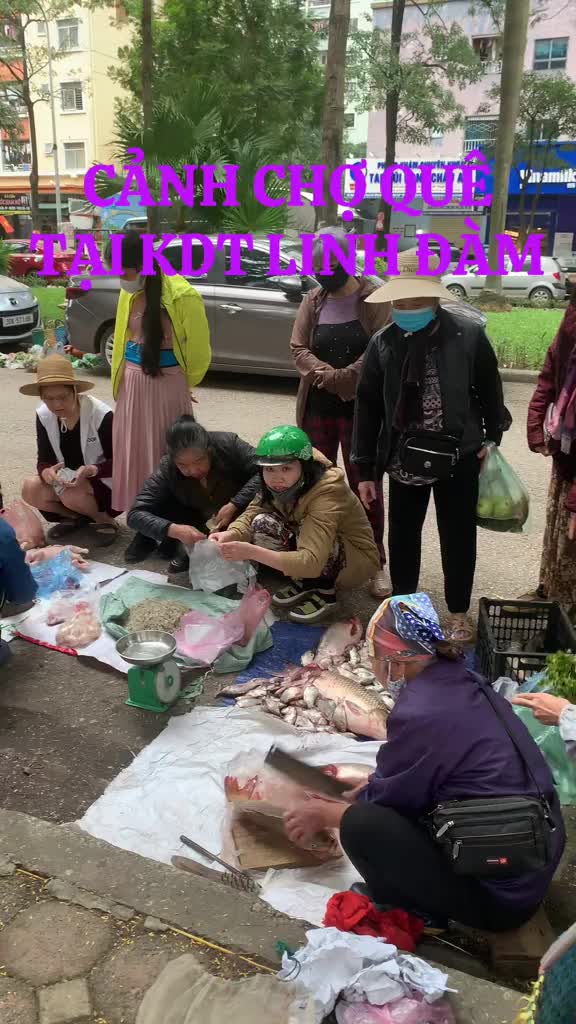 Khu đô thị Linh Đàm