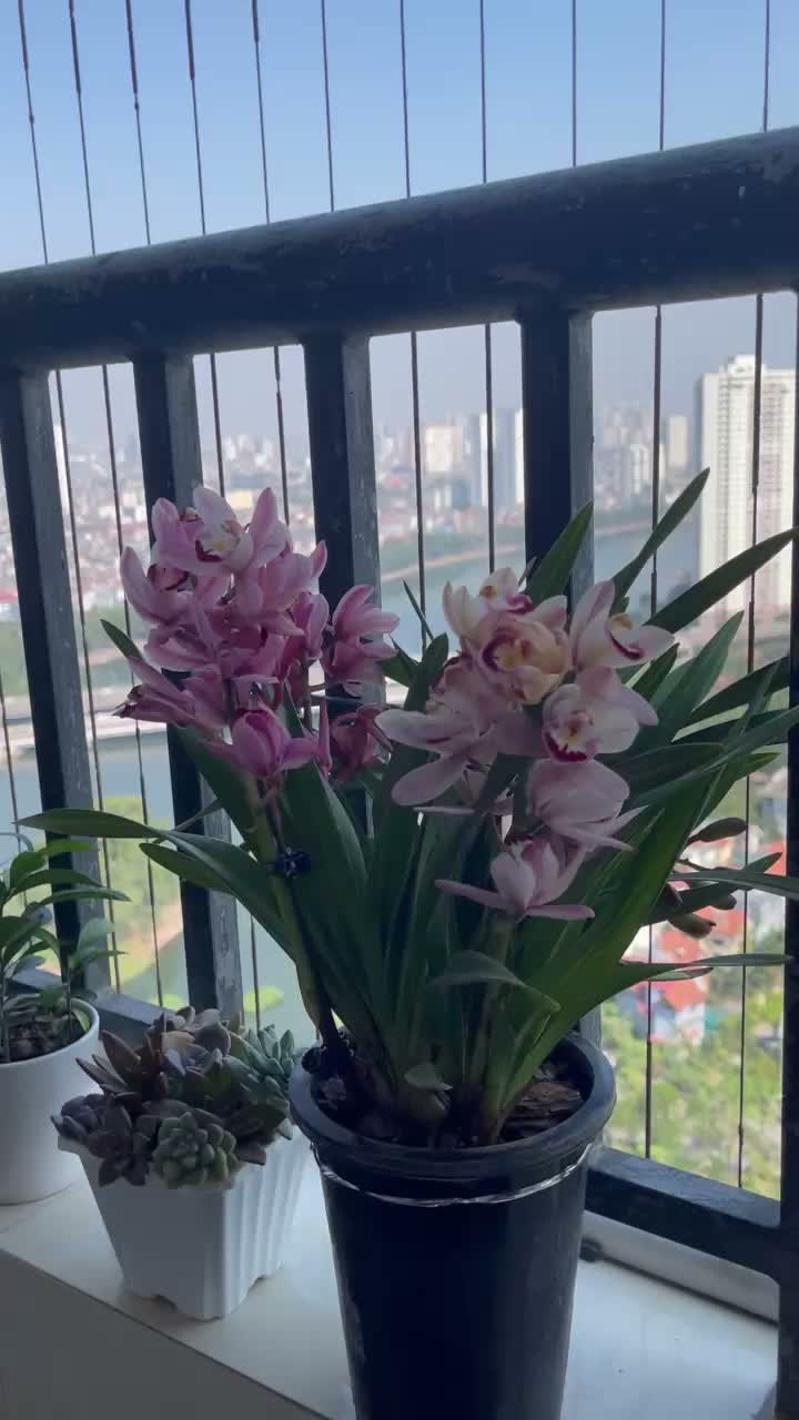 67 m2 view hồ đẹp mê ly, ban công đông nam, 2.5 tỷ - ảnh 2