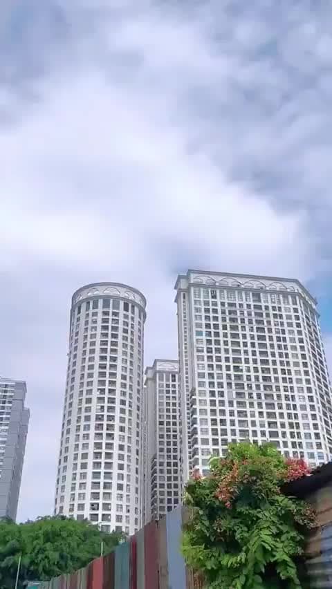 Sunshine Garden