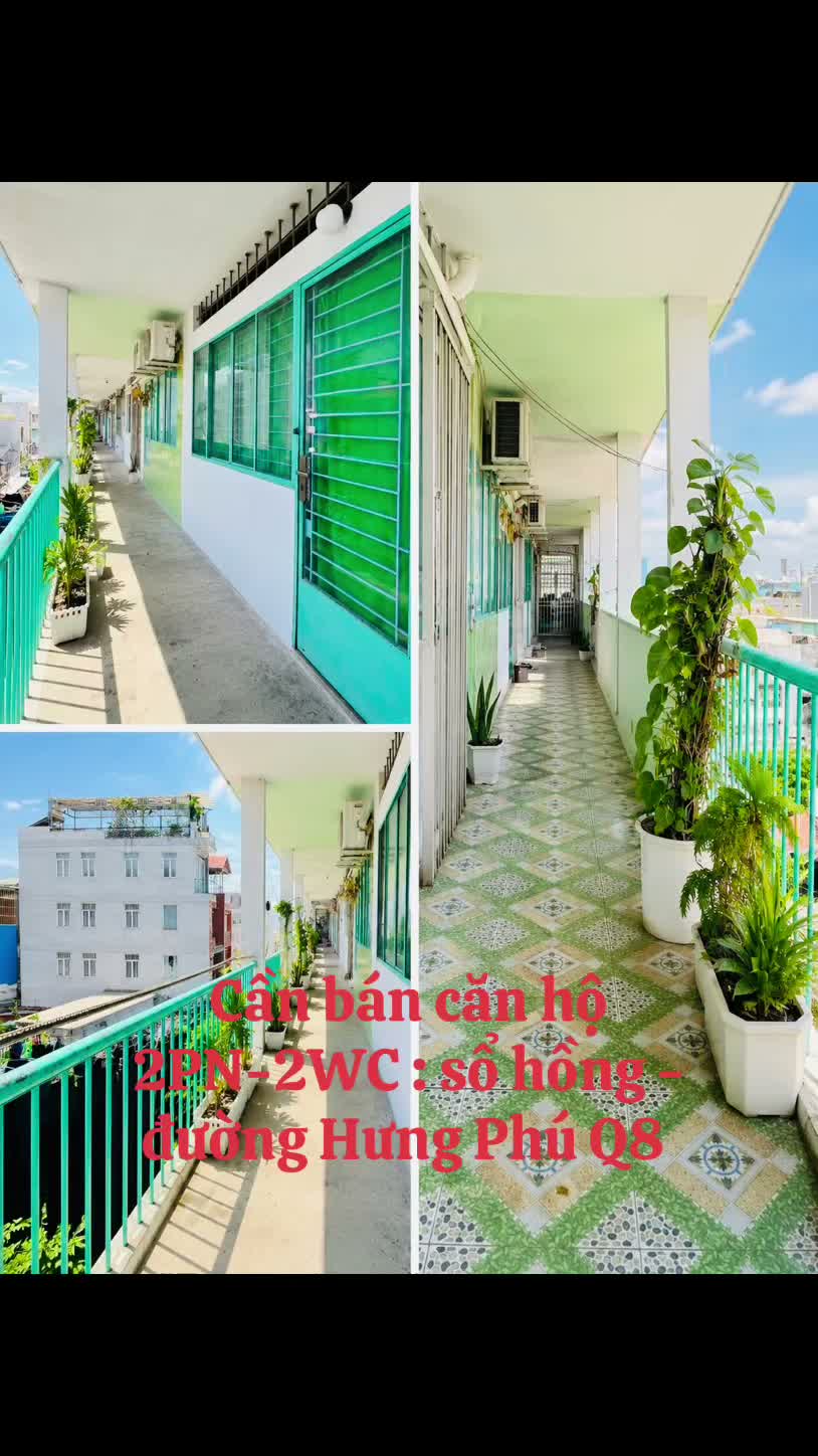 Bán Căn hộ Thông Tầng  chung cư xóm đầm hưng phú Q8 - ảnh 2