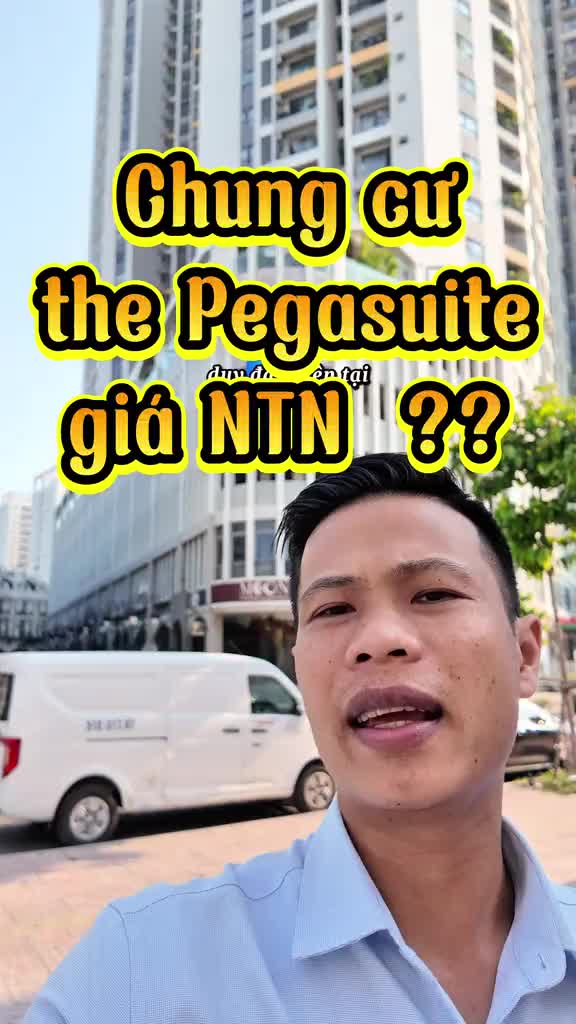 The Pegasuite 1