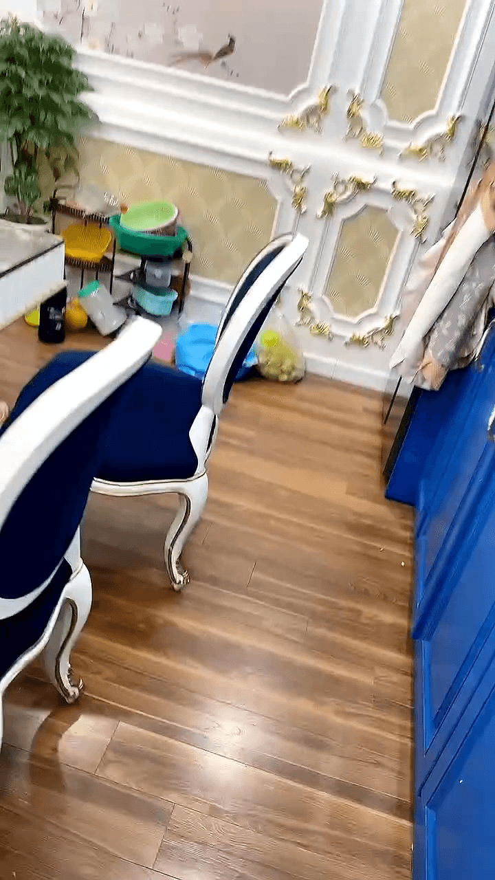 Quỹ căn hộ 2N - 3N tòa Eco Green City 286 Nguyễn Xiển. CH 2N giá từ 4 tỷ 550, CH 3N giá từ 5 tỷ 9.