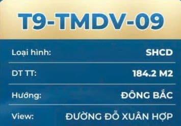 Bán căn shop thương mại 2MT Đỗ Xuân Hợp - ảnh 3