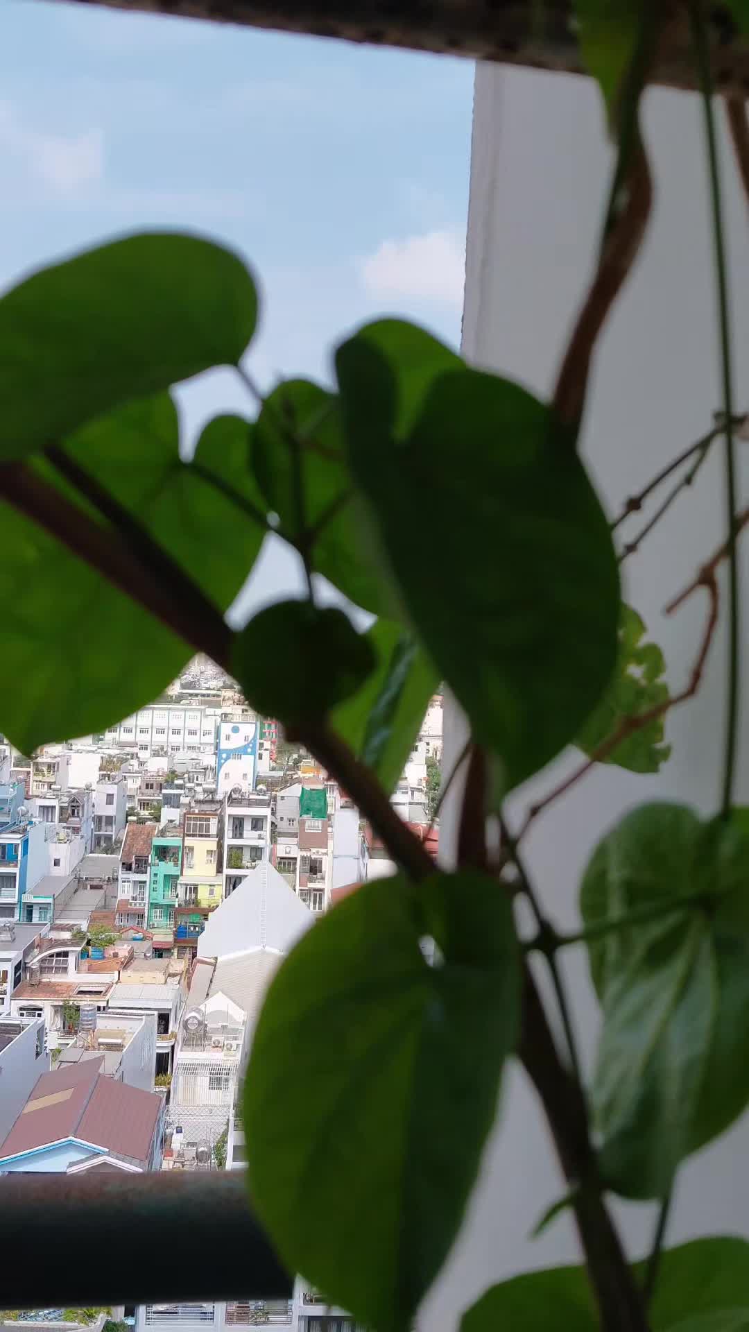 🚨 CĂN HỘ 2PN TẦNG CAO VIEW ĐẸP QUẬN 8 - GIÁ CHỈ 2.2 TỶ (CÓ THƯƠNG LƯỢNG)! - ảnh 2