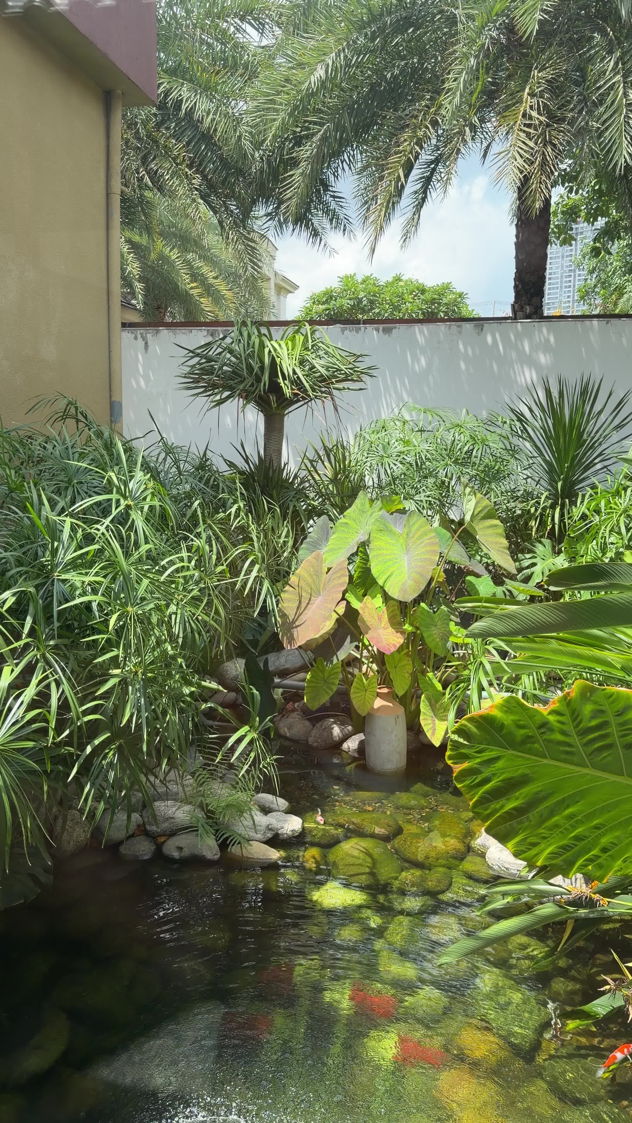Monrei Saigon - ảnh 2