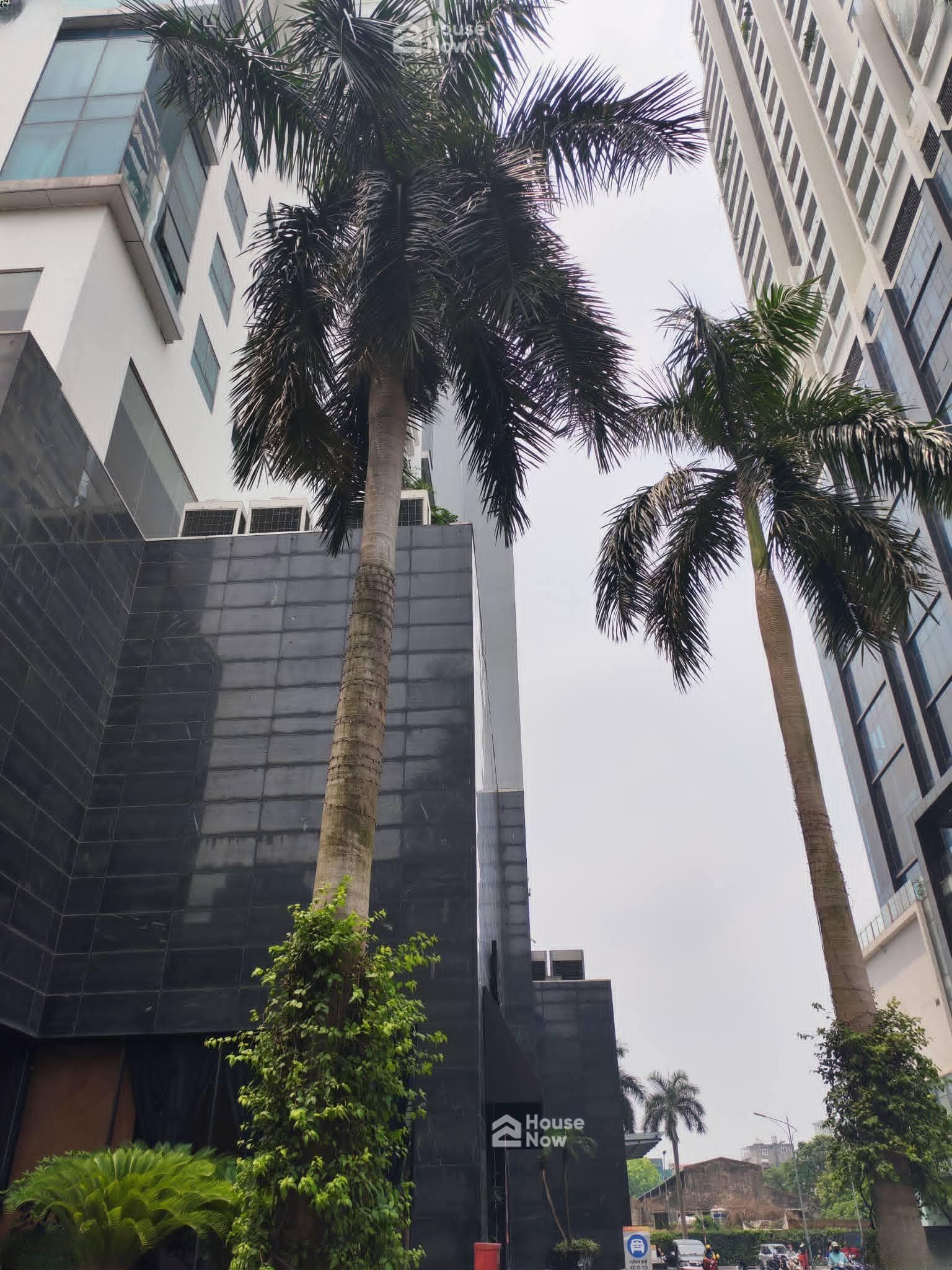 Bán căn chung cư 275 Nguyễn Trãi, 112m2, 3 ngủ 2 vệ sinh - ảnh 5 Bán căn chung cư 275 Nguyễn Trãi, 112m2, 3 ngủ 2 vệ sinh - ảnh 5