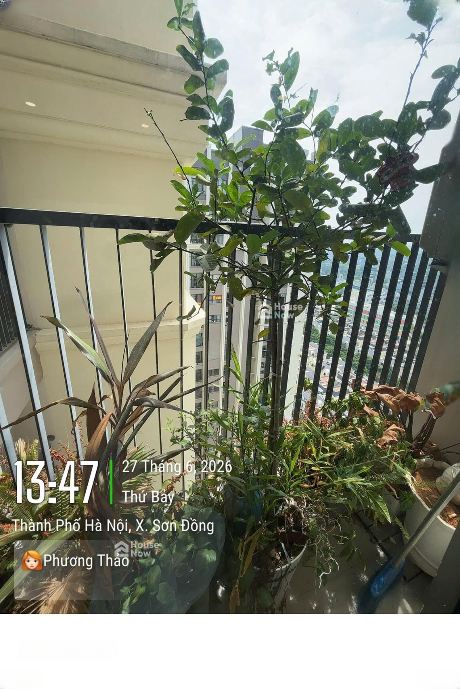 Hàng xóm em nhờ bán căn 2N view hồ. - ảnh 4 Hàng xóm em nhờ bán căn 2N view hồ. - ảnh 4