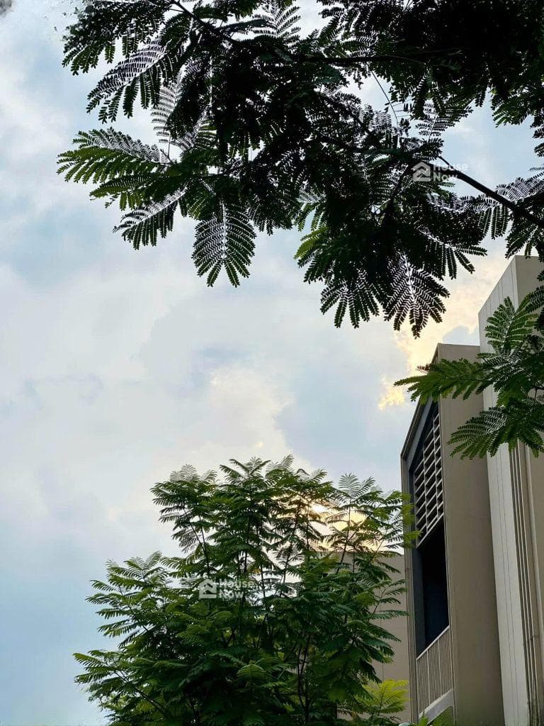 Hàng đặc biệt CĐT Orchard Mansion - Sycamore Bình Dương, ưu đãi hấp dẫn từ CĐT đến 1 tỷ - ảnh 8 Hàng đặc biệt CĐT Orchard Mansion - Sycamore Bình Dương, ưu đãi hấp dẫn từ CĐT đến 1 tỷ - ảnh 8