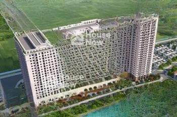 Tôi cần bán căn đối ngoại DA Ruby Park vào tên HĐMB trực tiếp CDT giá rẻ hơn 800 - 1 tỷ/1 căn - ảnh 3 Tôi cần bán căn đối ngoại DA Ruby Park vào tên HĐMB trực tiếp CDT giá rẻ hơn 800 - 1 tỷ/1 căn - ảnh 3