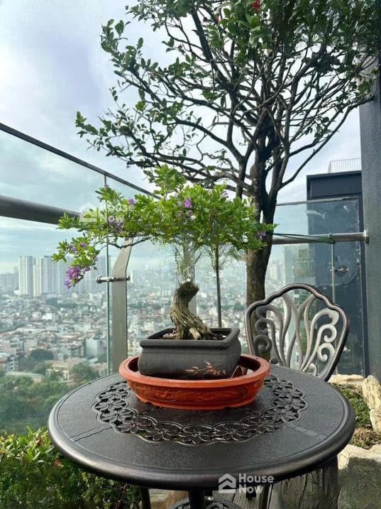 Bán penthouse 2 tầng hướng mát diện tích 347m2 full nội thất chung cư Green Diamond 93 Láng Hạ - ảnh 9 Bán penthouse 2 tầng hướng mát diện tích 347m2 full nội thất chung cư Green Diamond 93 Láng Hạ - ảnh 9