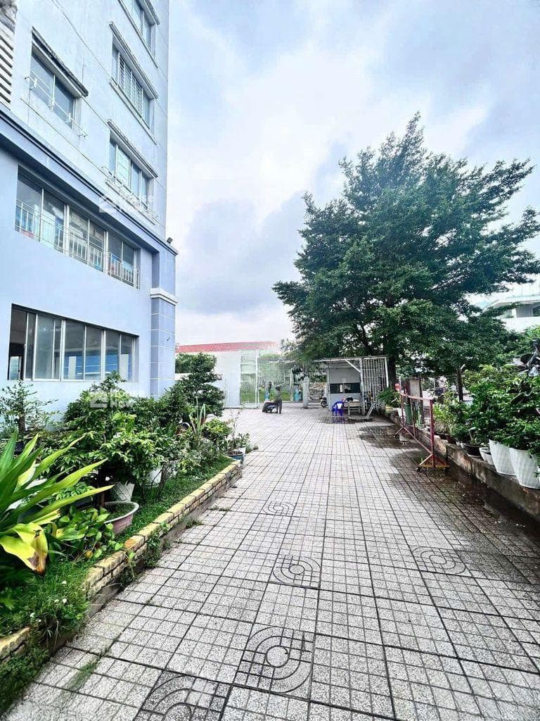 🏠🏠 Quận 8, 2,58 tỷ - Bán CC Bông Sao A P5 Q8 - ảnh 2 🏠🏠 Quận 8, 2,58 tỷ - Bán CC Bông Sao A P5 Q8 - ảnh 2