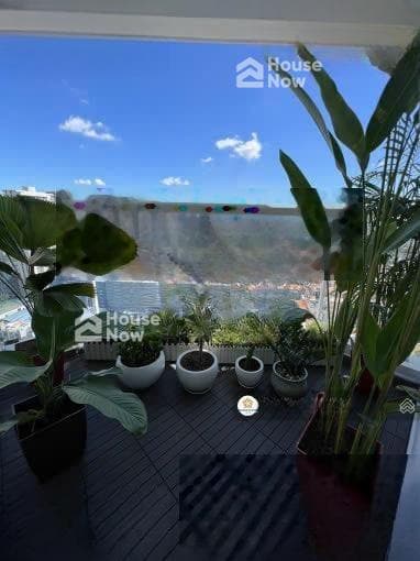 Bán căn hộ Hoàng Anh Thanh Bình, view tầng cao, thoáng mát giá 3,35 tỷ, - ảnh 6 Bán căn hộ Hoàng Anh Thanh Bình, view tầng cao, thoáng mát giá 3,35 tỷ, - ảnh 6