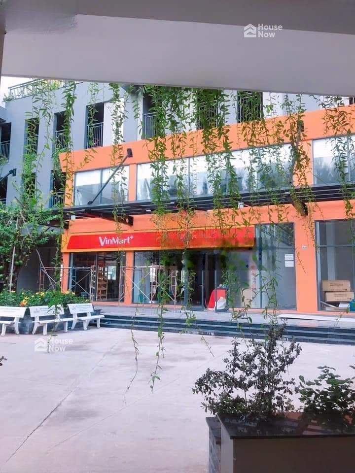 Hạ mạnh cần bán nhanh căn hiếm có 64 m2 giảm còn 3,3 tỷ, 2PN 2WC ban công rộng, nhà đẹp - ảnh 9 Hạ mạnh cần bán nhanh căn hiếm có 64 m2 giảm còn 3,3 tỷ, 2PN 2WC ban công rộng, nhà đẹp - ảnh 9