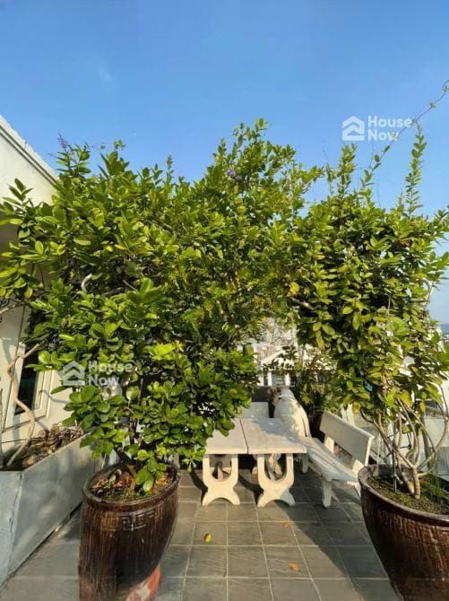 Siêu to 91,5m2 - ngang 10,6m HXH Nam Kỳ Khởi Nghĩa Q3 - 10,6x11m, 5 tầng chỉ còn 19,5 tỷ - ảnh 9 Siêu to 91,5m2 - ngang 10,6m HXH Nam Kỳ Khởi Nghĩa Q3 - 10,6x11m, 5 tầng chỉ còn 19,5 tỷ - ảnh 9